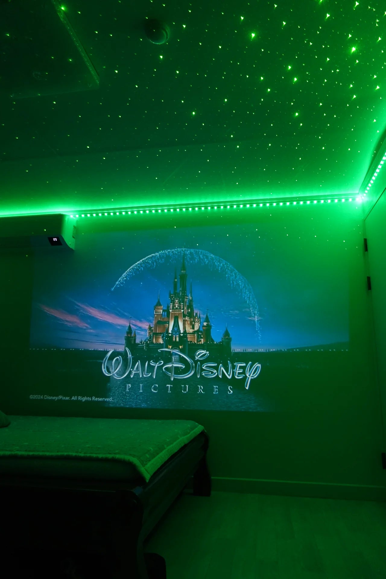 Renoura™ Theater Projector