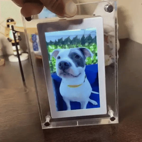 Renoura ™ Memory Frame